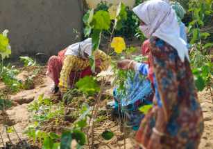 Highest Attendance Award in Aurangabad, Maharashtra