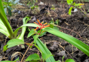 Additional Teacher For Critical Subject in Jamshedpur, Jharkhand