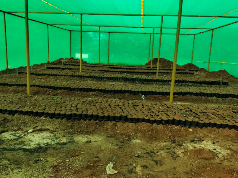 Plantation Metrics Illustration