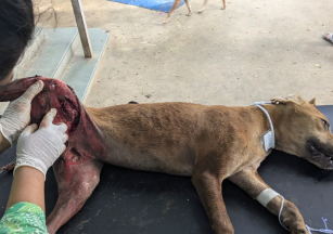 Sewing Training Centre at PKG-13, Bokaro